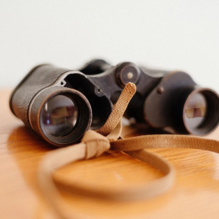 Comprendre les tâches à accomplir pour optimiser la gestion de la relation client